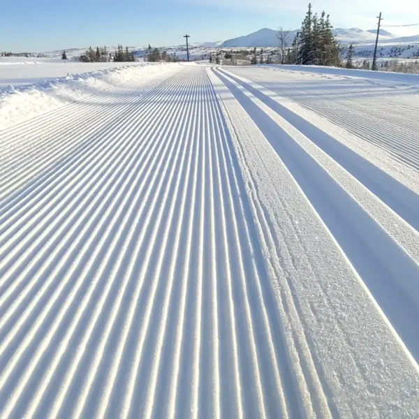 Præparerede løjper i Storlien