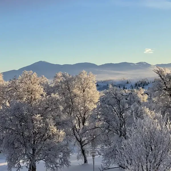 Den svenske vildmark